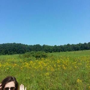 Meet your Posher, Bailey